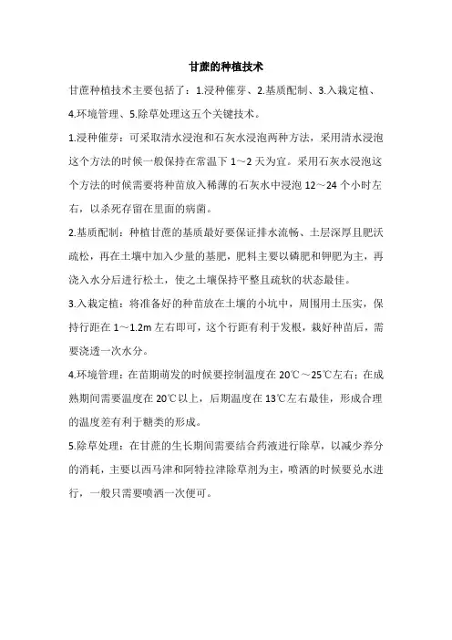 甘蔗的种植技术