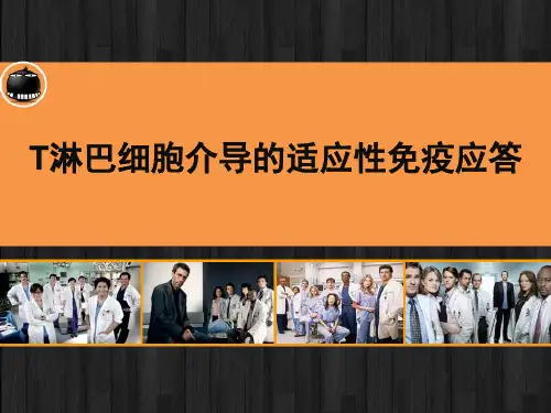 医学免疫学 T淋巴细胞介导的适应性免疫应答 PPT