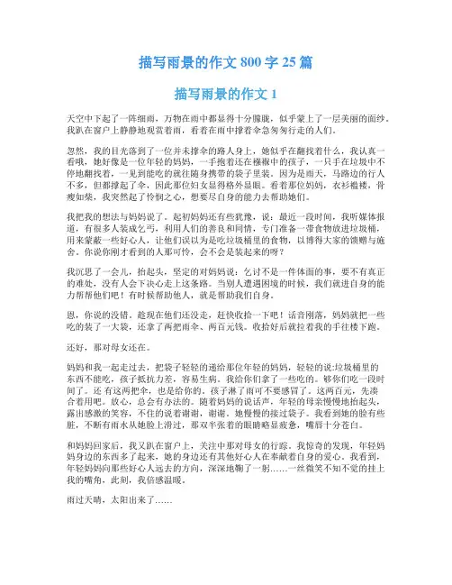 描写雨景的作文800字25篇