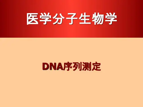 研究生-测序