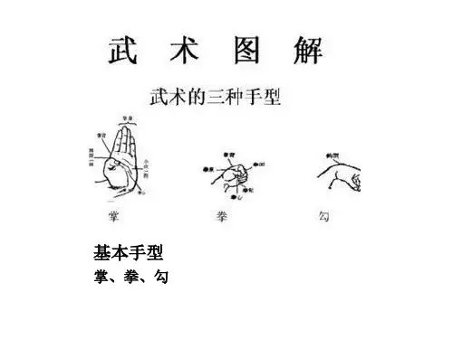 武术五步拳