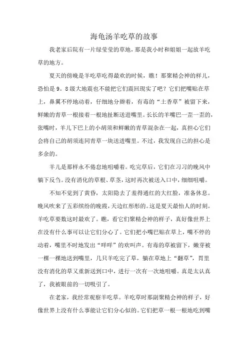 海龟汤羊吃草的故事