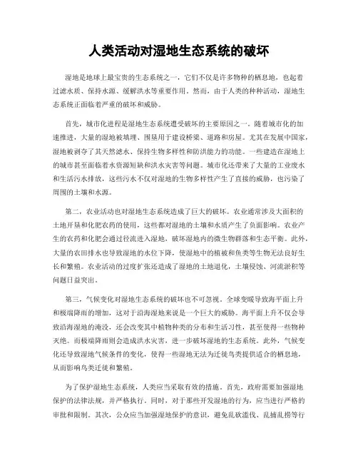 人类活动对湿地生态系统的破坏