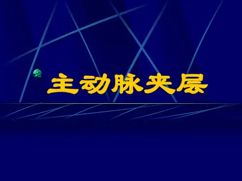 主动脉夹层 PPT课件