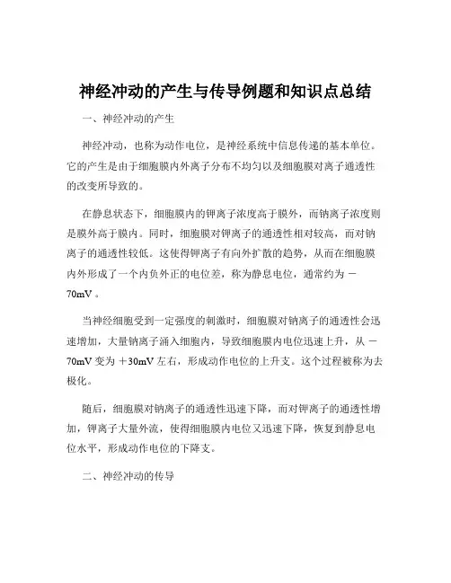神经冲动的产生与传导例题和知识点总结