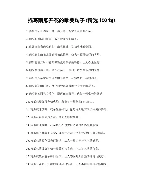 描写南瓜开花的唯美句子(精选100句)
