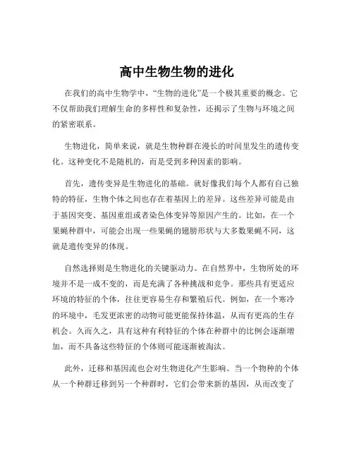 高中生物生物的进化