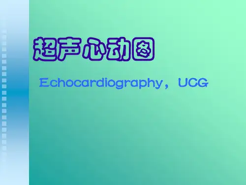 超声心动图培训课件