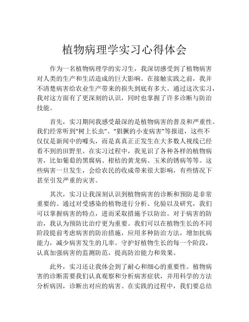 植物病理学实习心得体会