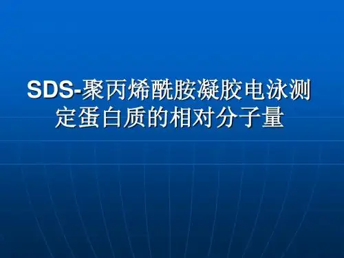 SDS-聚丙烯酰胺凝胶电泳