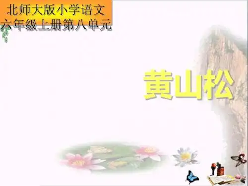 六年级语文上册第七单元黄山松PPT课件2湘教版