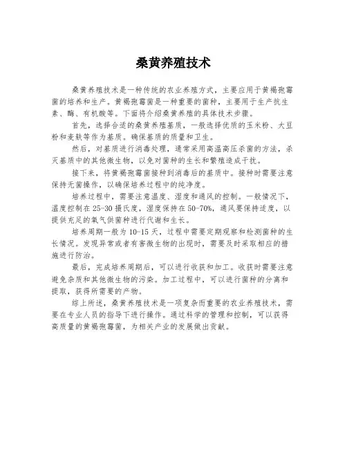桑黄养殖技术