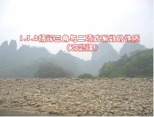 杨辉三角与二次项系数性质(习题课)讲解 PPT