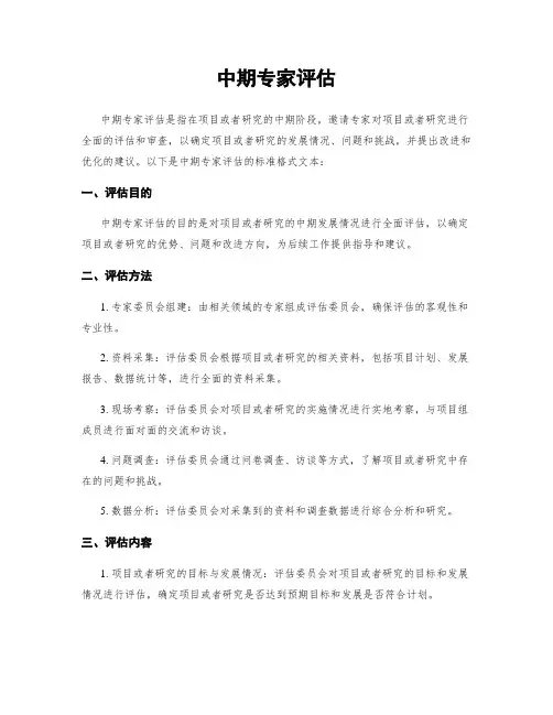 中期专家评估