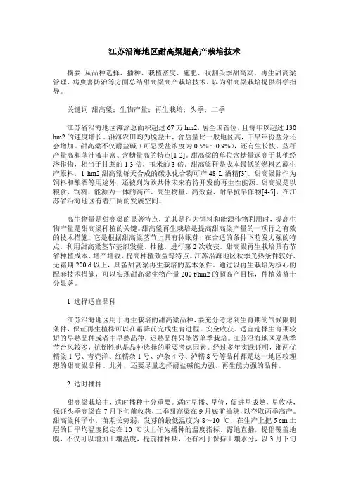 江苏沿海地区甜高粱超高产栽培技术