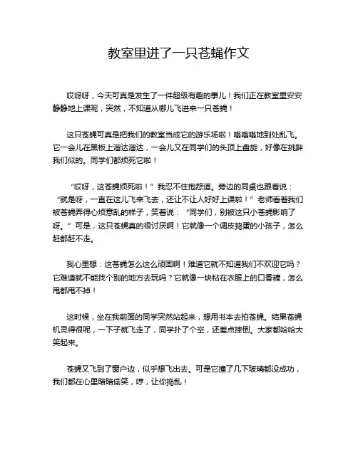教室里进了一只苍蝇作文