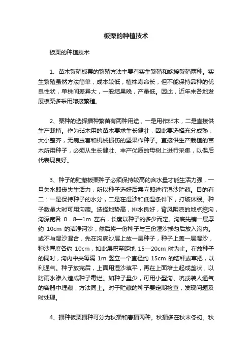 板栗的种植技术