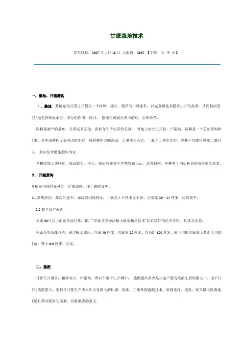 甘蔗种植