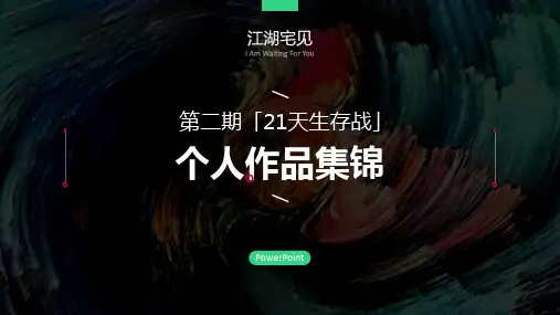 《21天生存战》ppt个人作品集锦