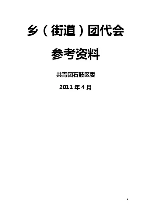 乡、街道团代会参考资料