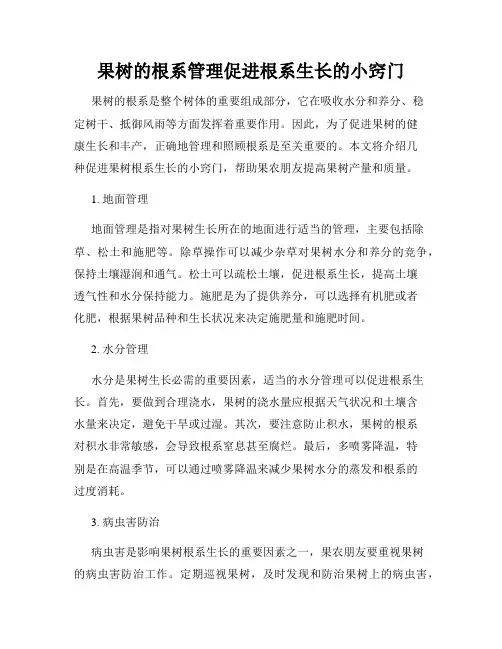 果树的根系管理促进根系生长的小窍门