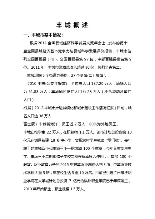 丰城情况概述