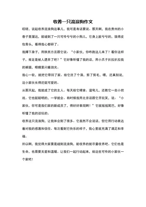 收养一只流浪狗作文