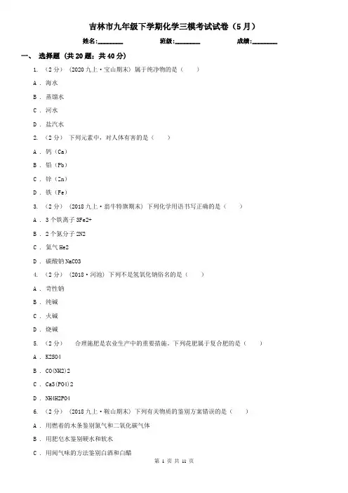吉林市九年级下学期化学三模考试试卷(5月)