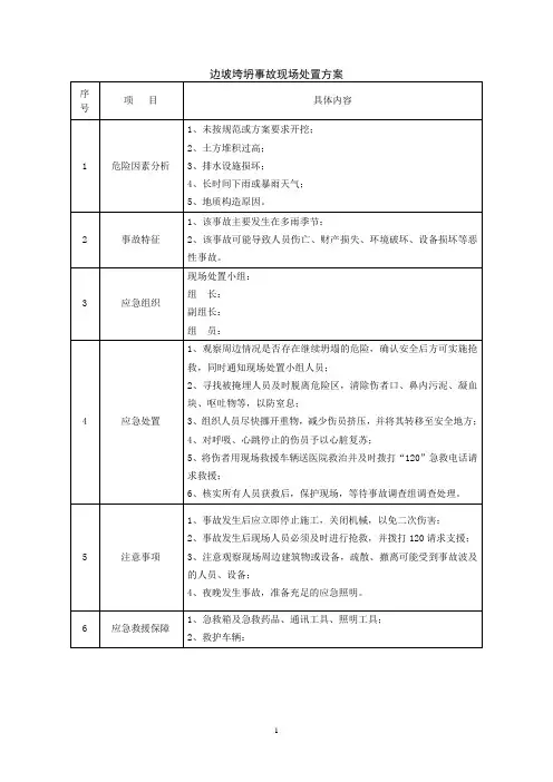 边坡垮塌现场应急处置方案