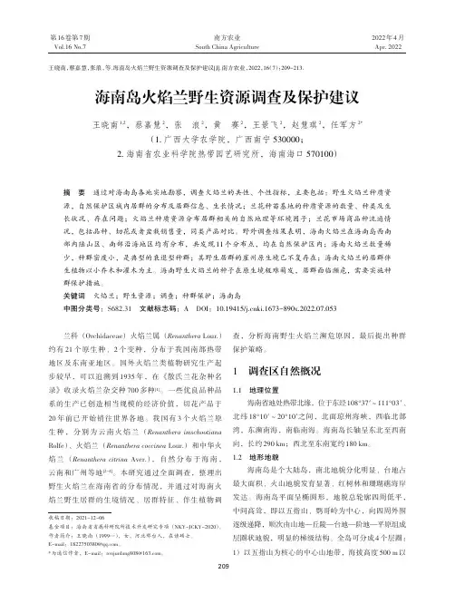 海南岛火焰兰野生资源调查及保护建议