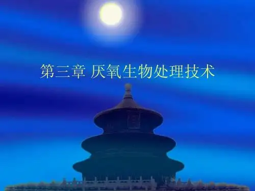 第三章 厌氧生物处理技术