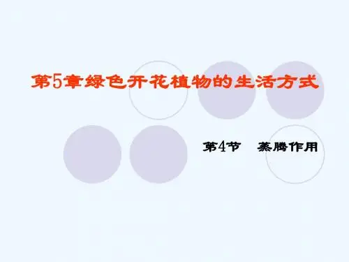 生物人教版七年级上册蒸腾作用
