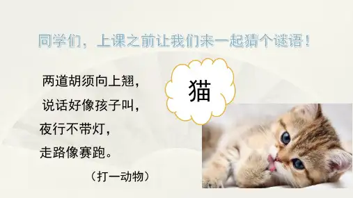 2020年春期新人教部编版四年级下册语文课件-13猫