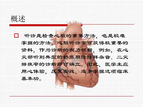 心脏听诊检查1