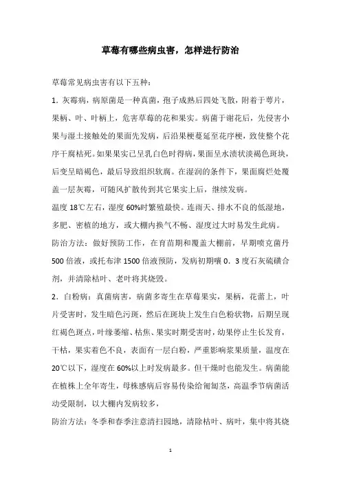 草莓有哪些病虫害,怎样进行防治