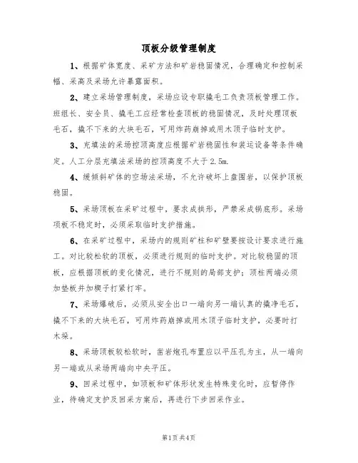 顶板分级管理制度（3篇）