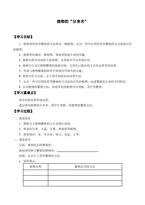 五年级下册科学学案14 植物的“分身术”青岛版