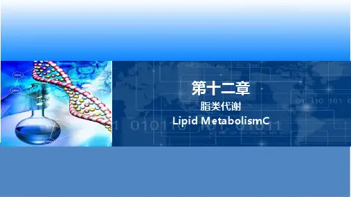 脂类的消化吸收及运输.pptx