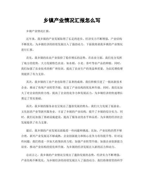 乡镇产业情况汇报怎么写