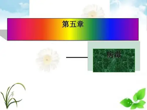 病毒ppt课件(自制)32 北京版