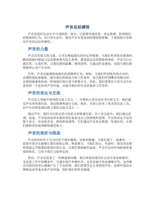 声音总结感悟