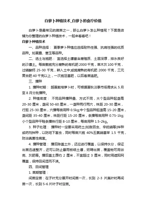 白萝卜种植技术_白萝卜的食疗价值