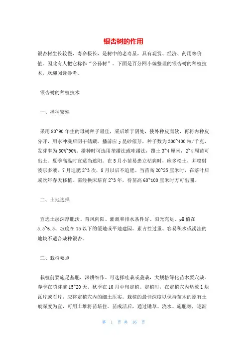 银杏树的作用