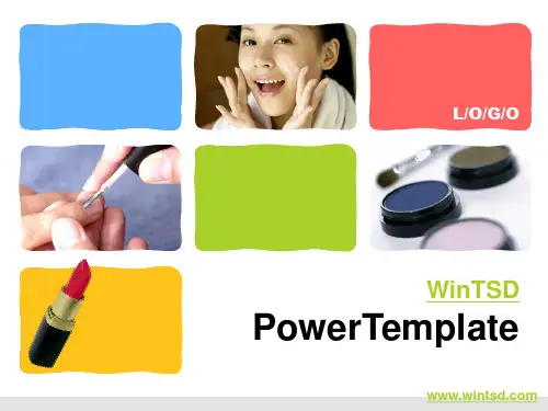 国外精美的经典PPT模板十一：WinTSD _PowerTemplate11