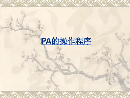 PA操作程序