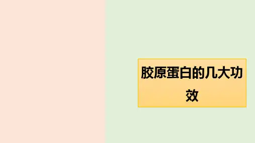 胶原蛋白的几大功效.pptx
