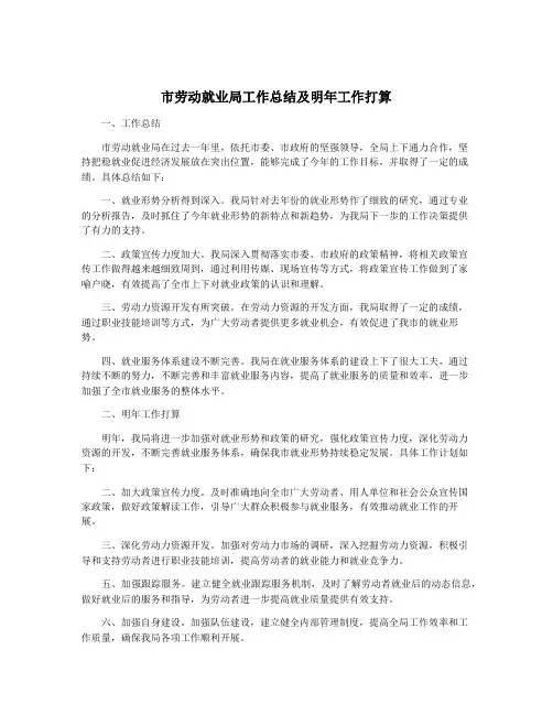 市劳动就业局工作总结及明年工作打算