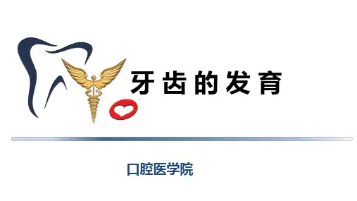 7牙齿发育