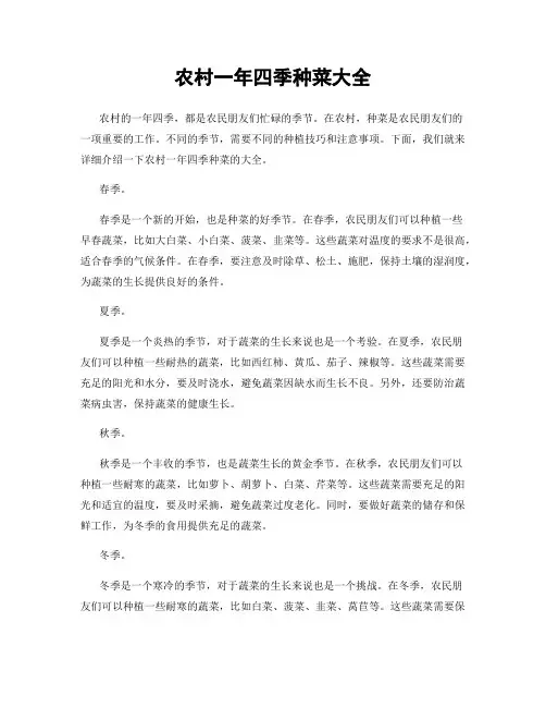 农村一年四季种菜大全