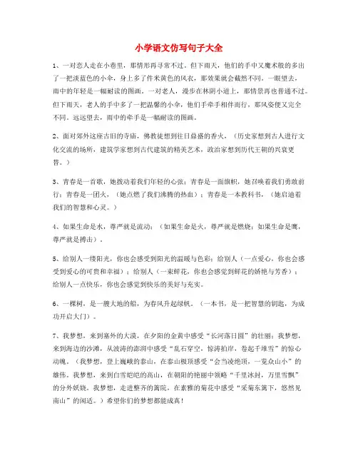 小学语文仿写句专项练习小升初必练